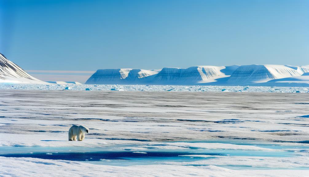 arctic regions inhabited bears