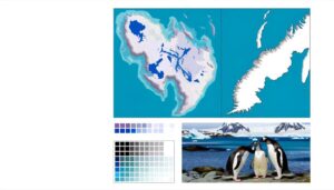 distribution of gentoo penguins