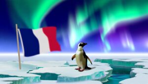 french word for penguin