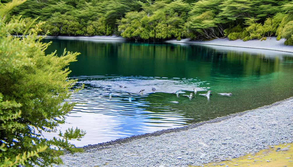 penguins in freshwater habitats