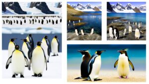 penguins inhabit cold climates