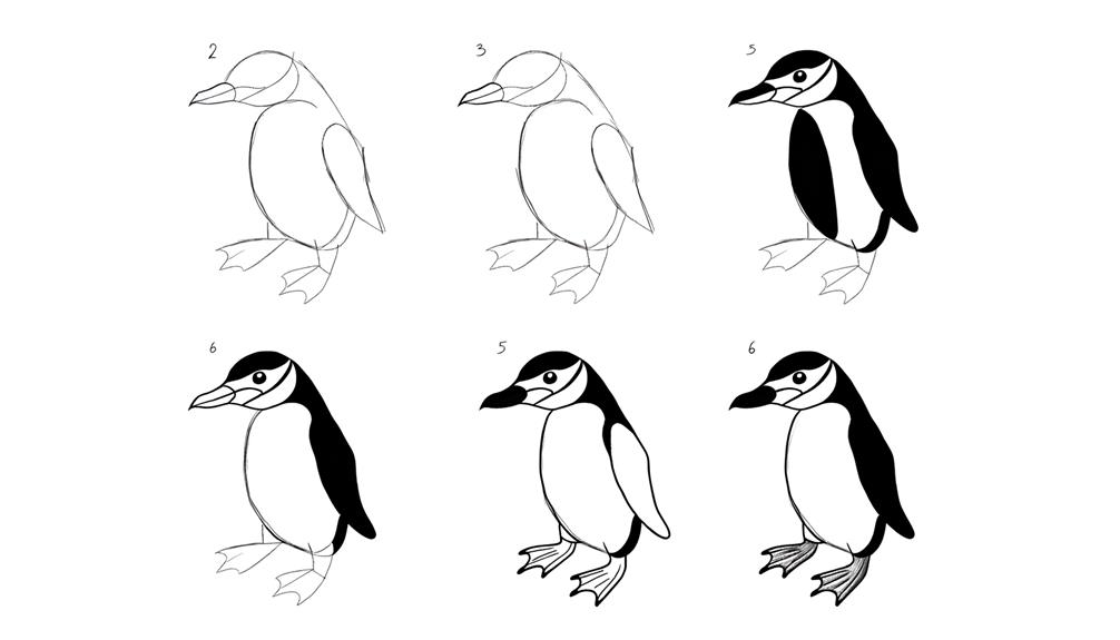 step by step guide for drawing