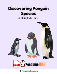 Discovering Penguin Species A Detailed Guide