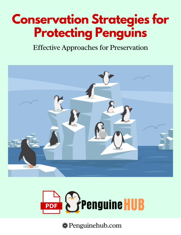 Conservation Strategies for Penguins Key Approaches to Preservation