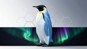 top penguin banner picks